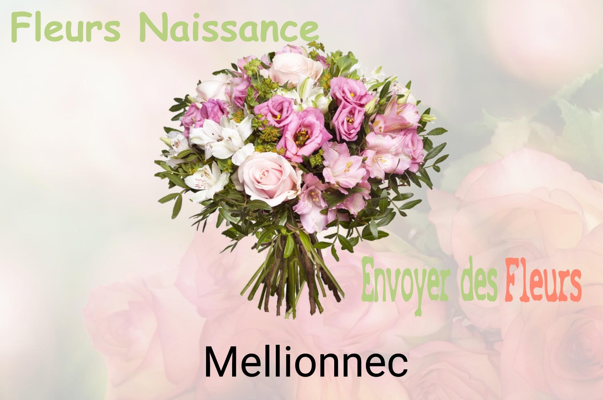 Bouquet de fleurs de naissance livré à Mellionnec
